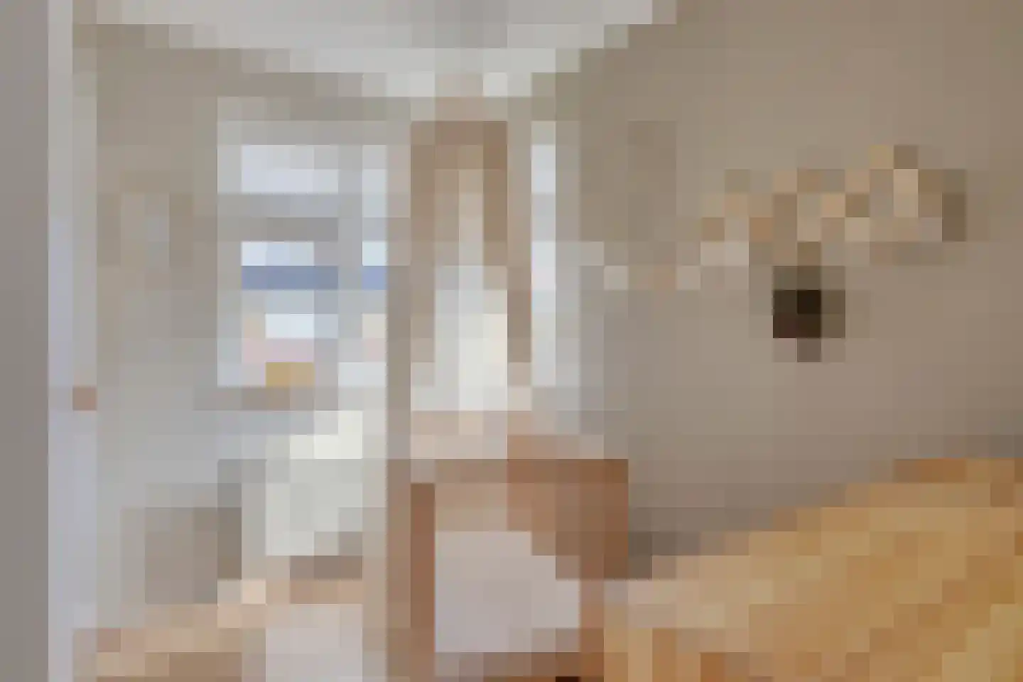 Erckelentsgoed 8 Maasbree thumbnail 29
