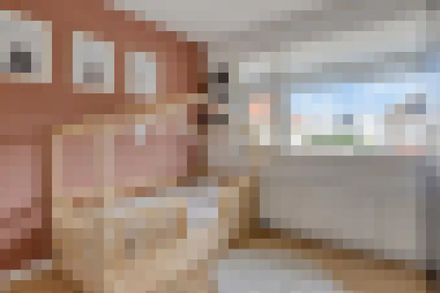 Erckelentsgoed 8 Maasbree thumbnail 31
