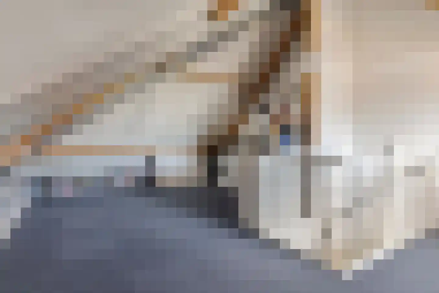 Erckelentsgoed 8 Maasbree thumbnail 37