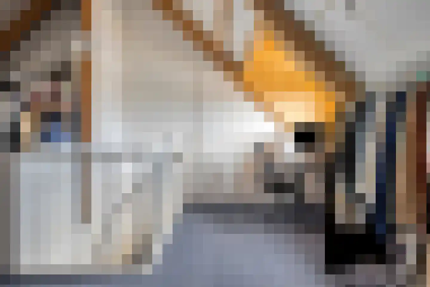Erckelentsgoed 8 Maasbree thumbnail 38