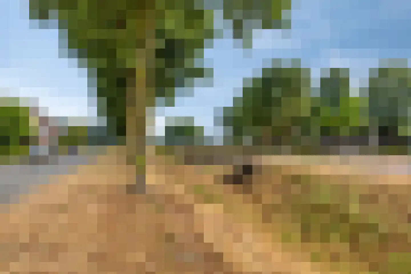 Erckelentsgoed 8 Maasbree thumbnail 44