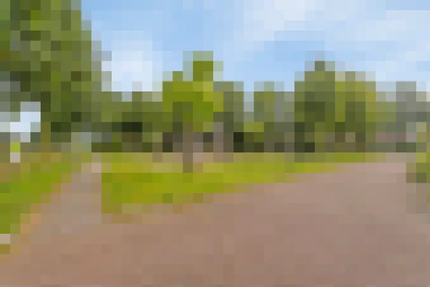 Erckelentsgoed 8 Maasbree thumbnail 49