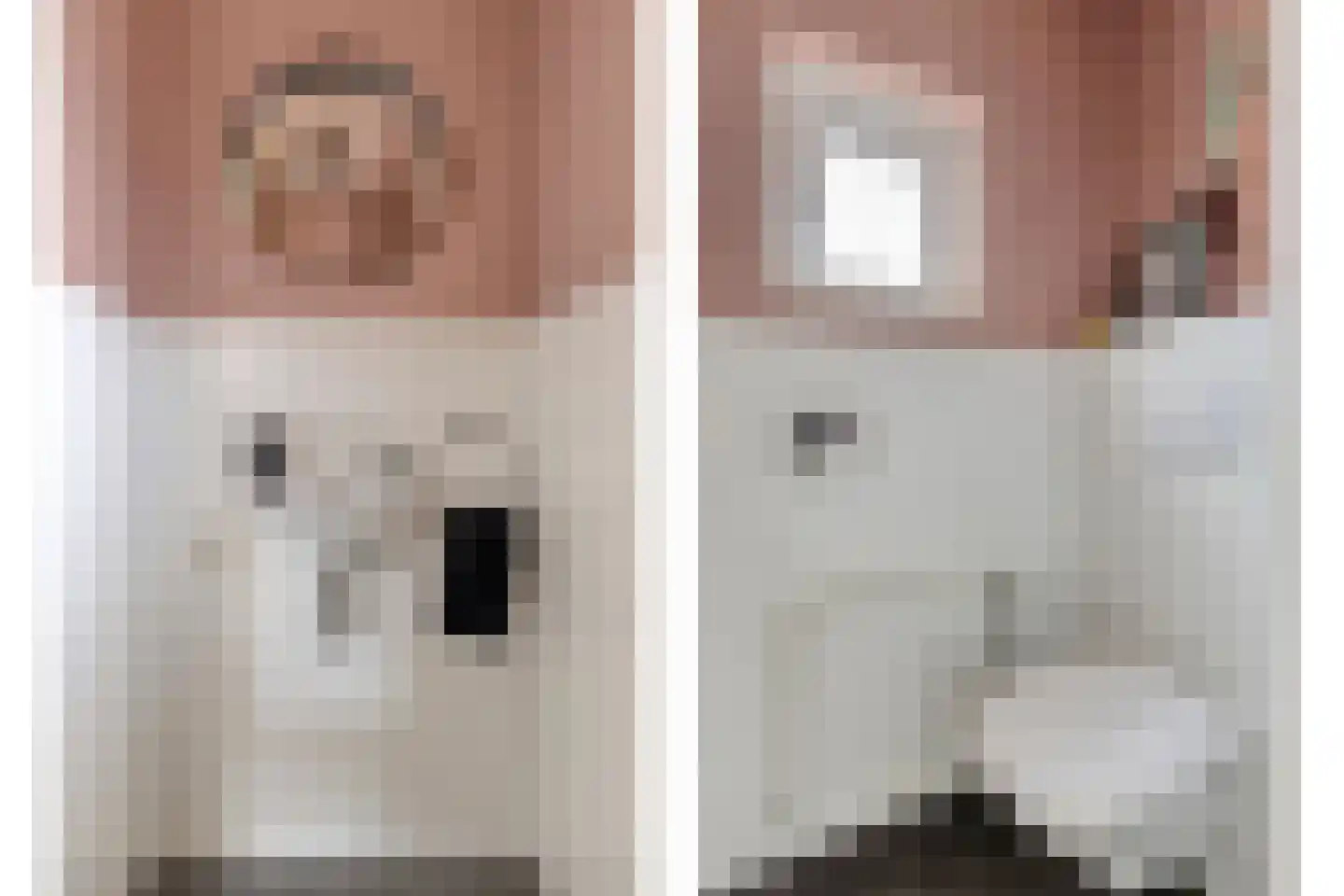 Erckelentsgoed 8 Maasbree thumbnail 7