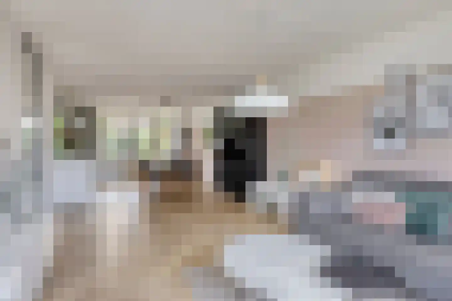 Erckelentsgoed 8 Maasbree thumbnail 8