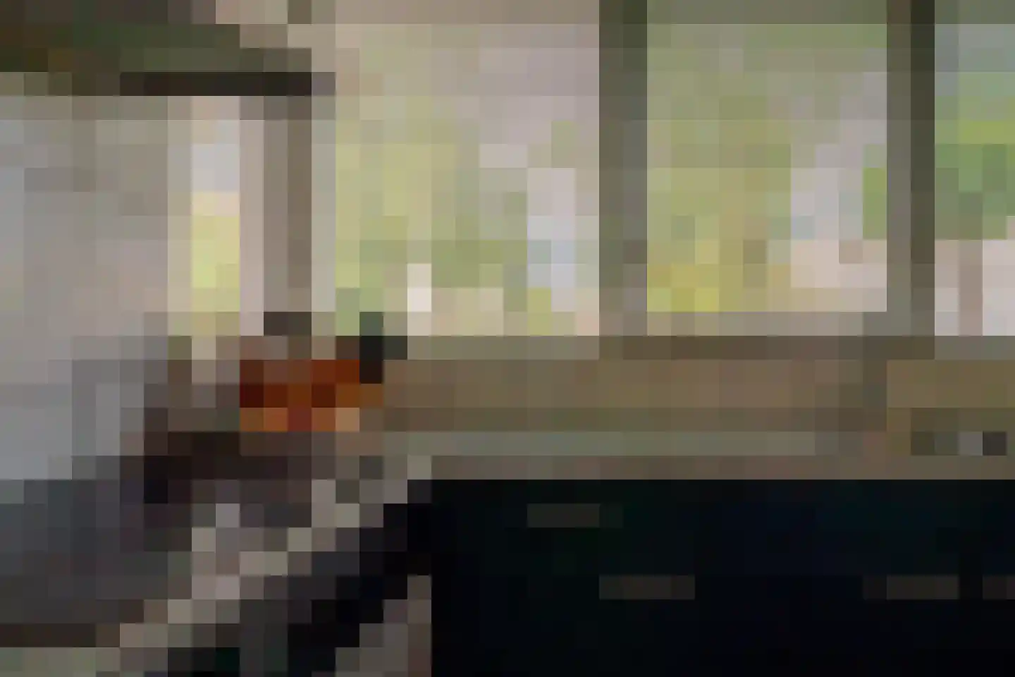 Erdwal 15 Tolkamer thumbnail 10