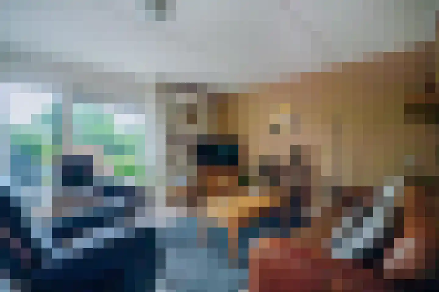 Erdwal 15 Tolkamer thumbnail 15