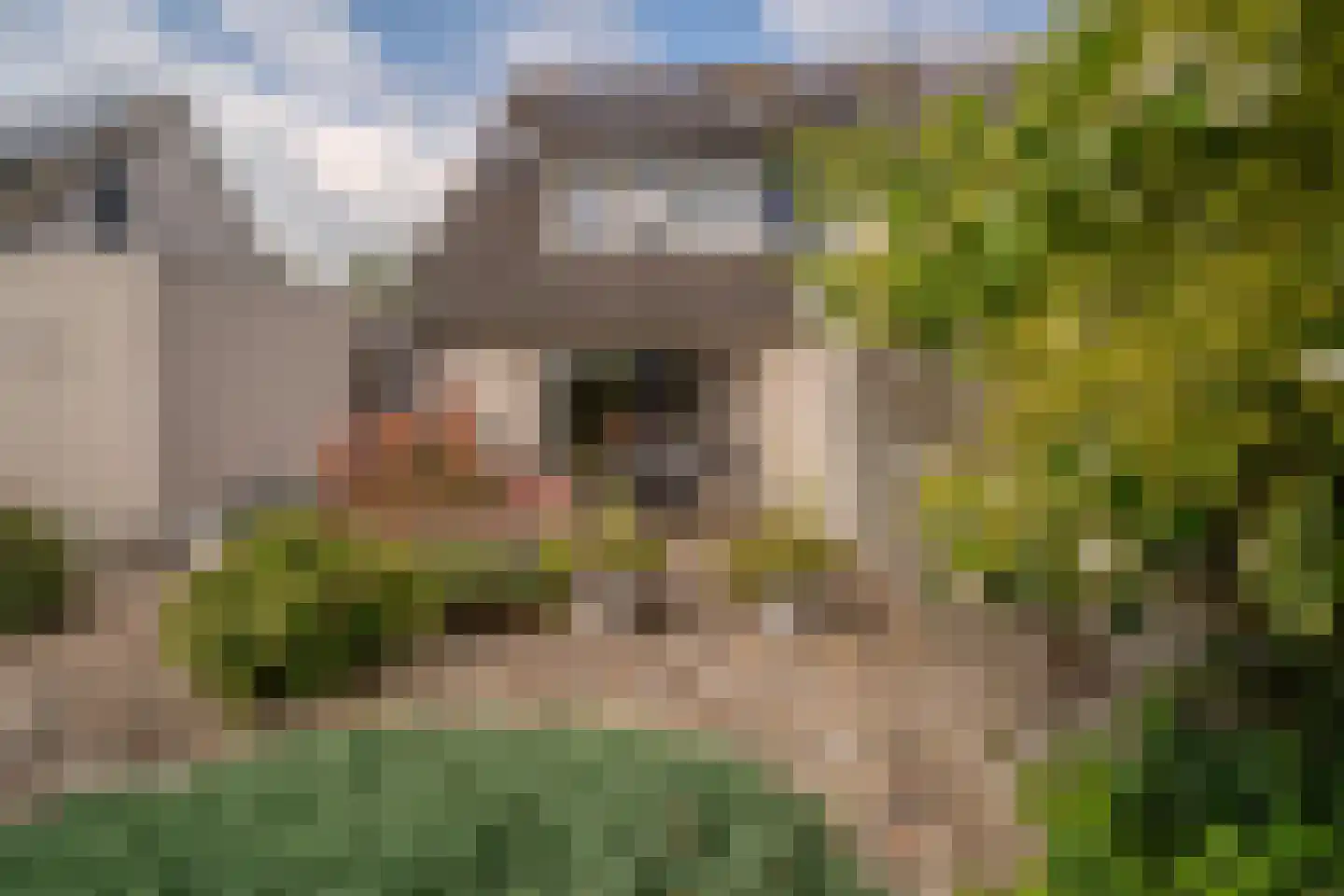 Erdwal 15 Tolkamer thumbnail 17