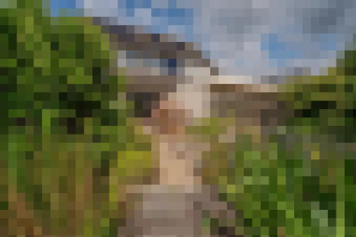 Erdwal 15 Tolkamer thumbnail 17