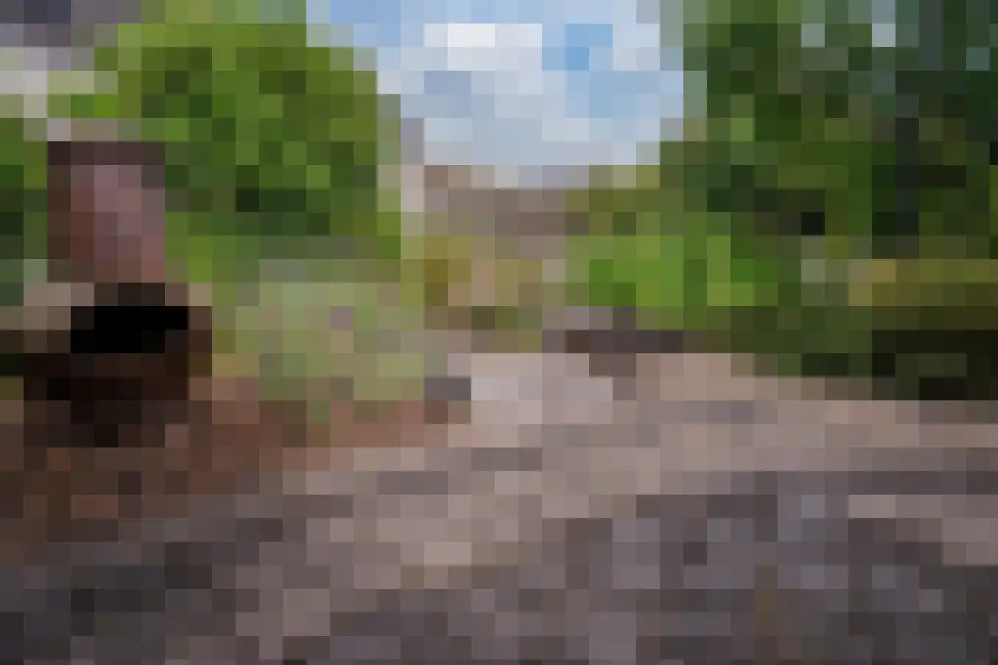 Erdwal 15 Tolkamer thumbnail 18