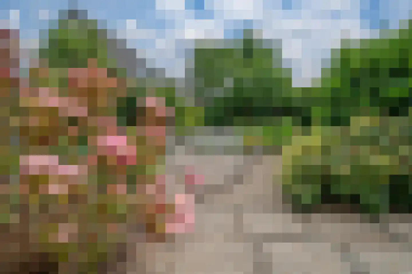 Erdwal 15 Tolkamer thumbnail 19