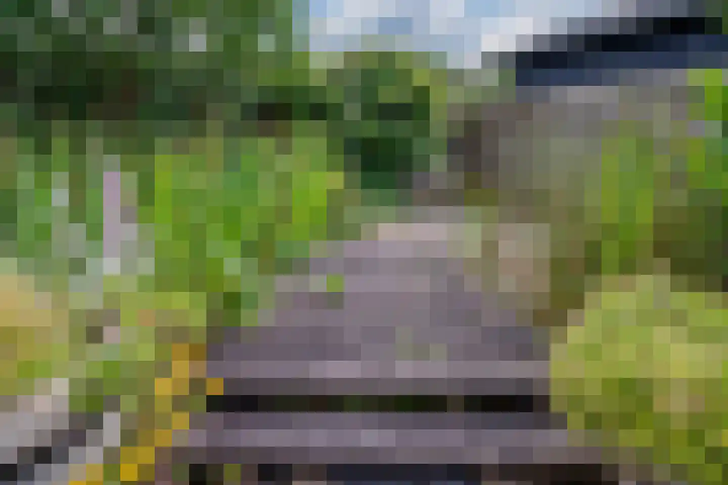 Erdwal 15 Tolkamer thumbnail 19