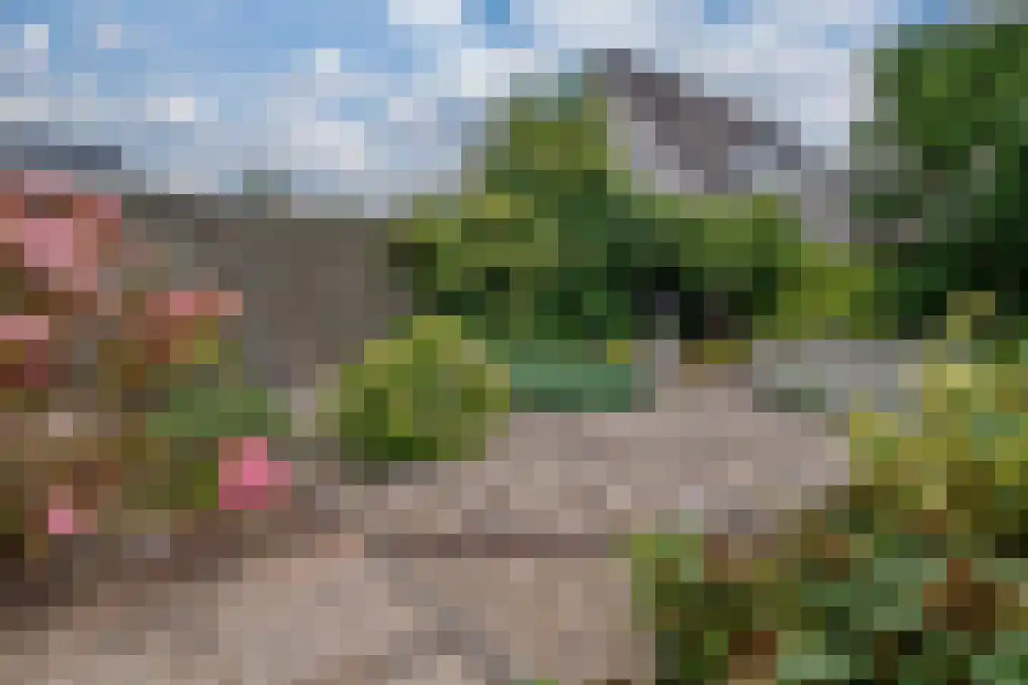 Erdwal 15 Tolkamer thumbnail 20
