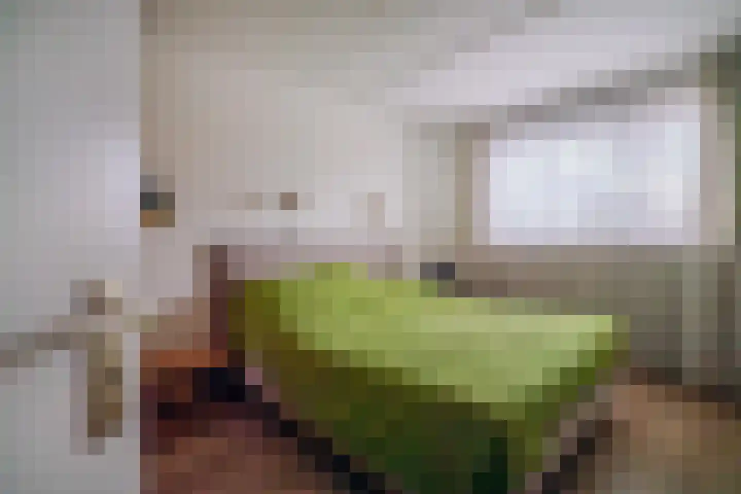Erdwal 15 Tolkamer thumbnail 22