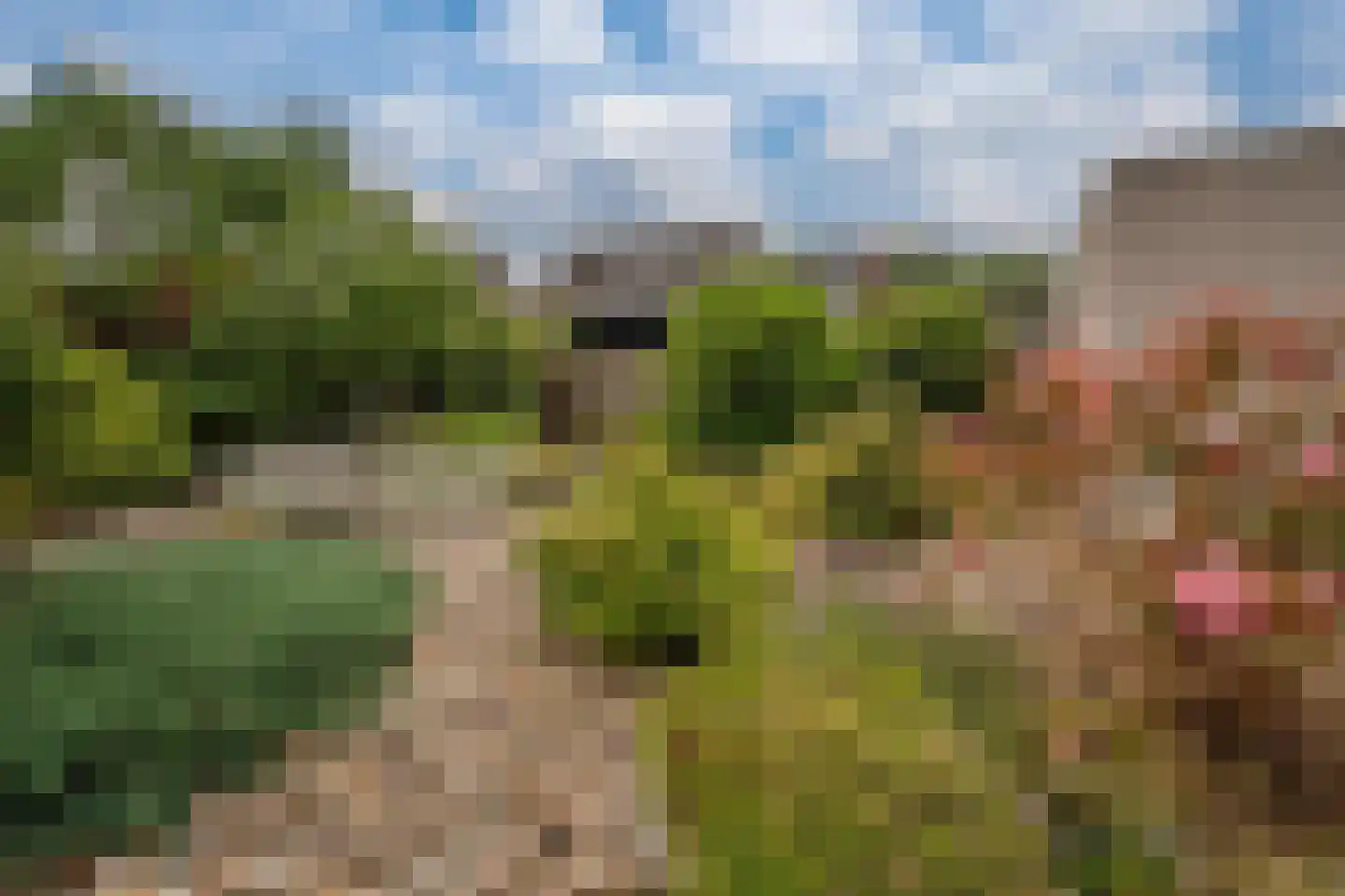 Erdwal 15 Tolkamer thumbnail 23