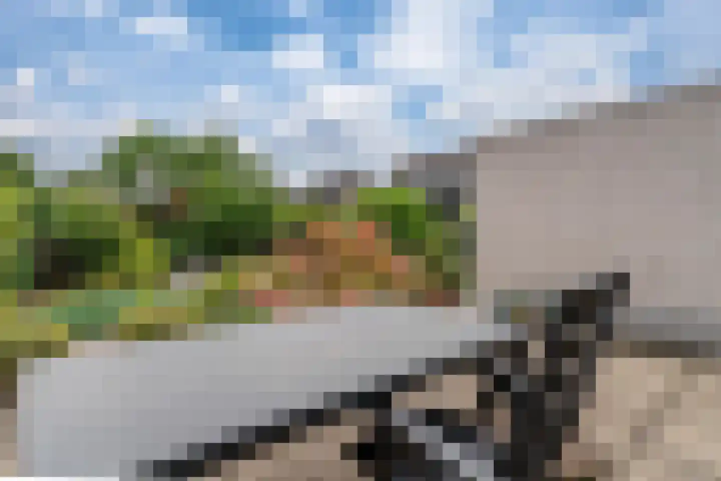 Erdwal 15 Tolkamer thumbnail 24