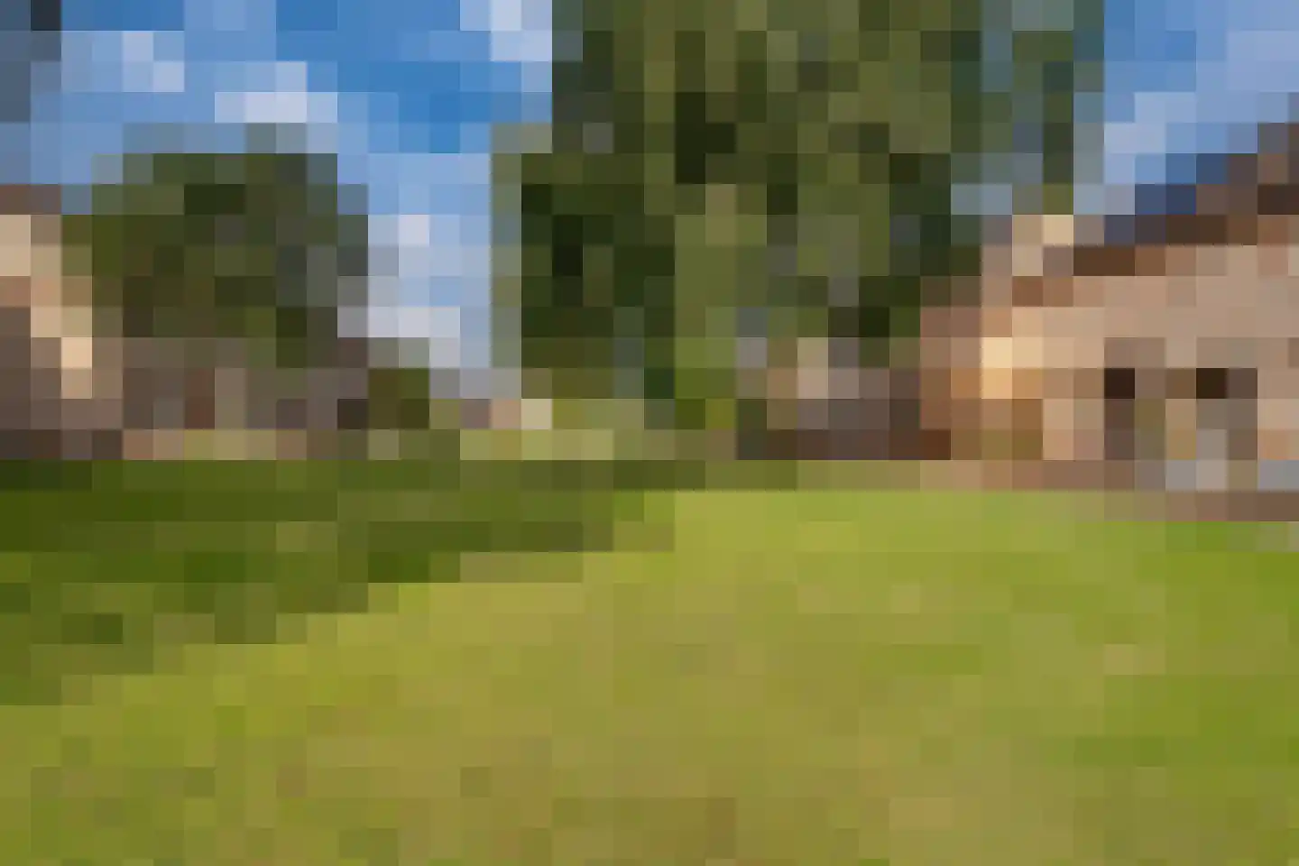 Erdwal 15 Tolkamer thumbnail 37
