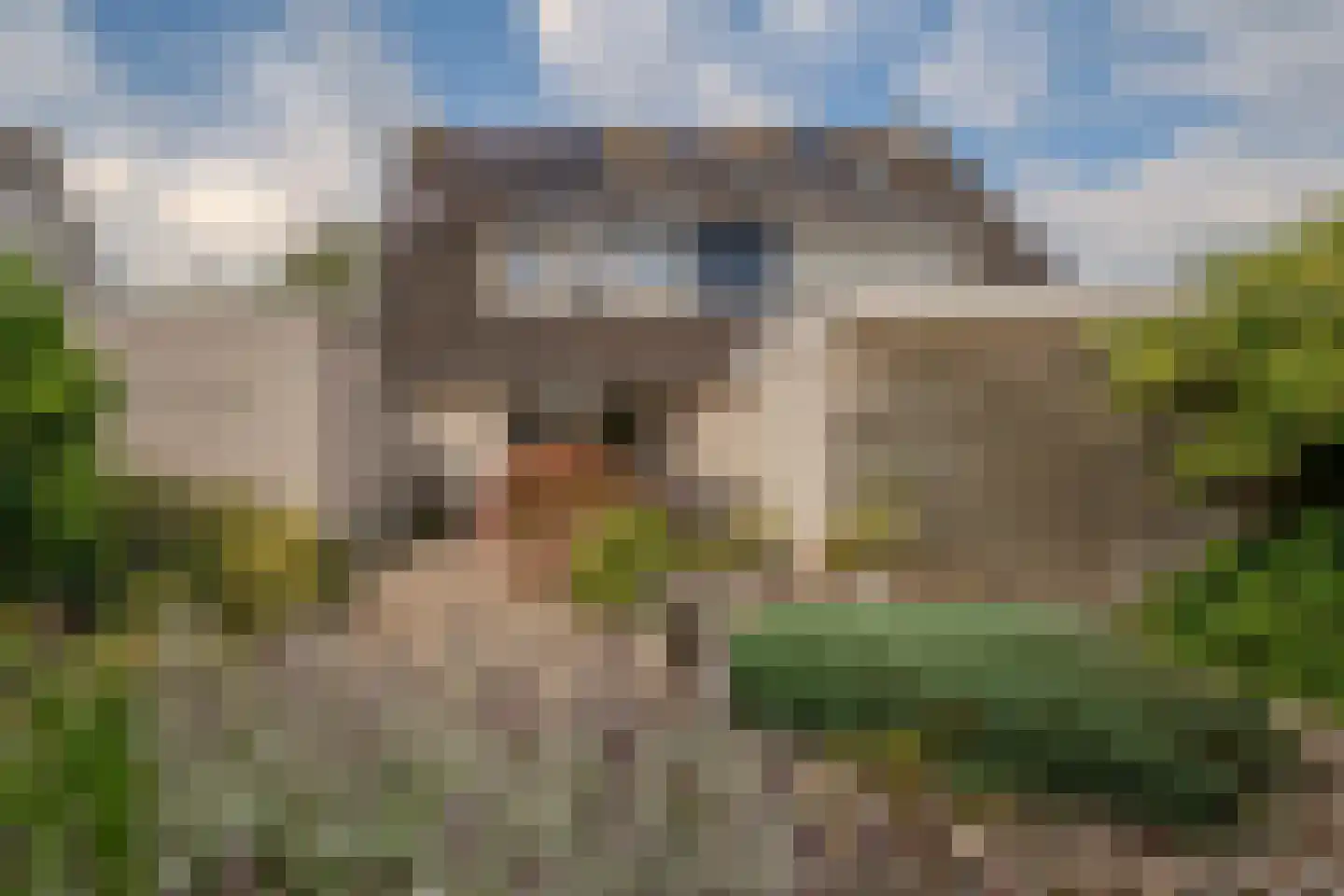 Erdwal 15 Tolkamer thumbnail 4