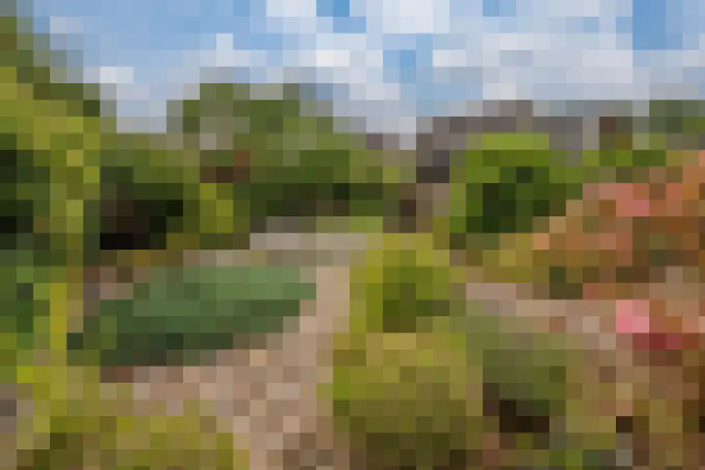 Erdwal 15 Tolkamer thumbnail 5