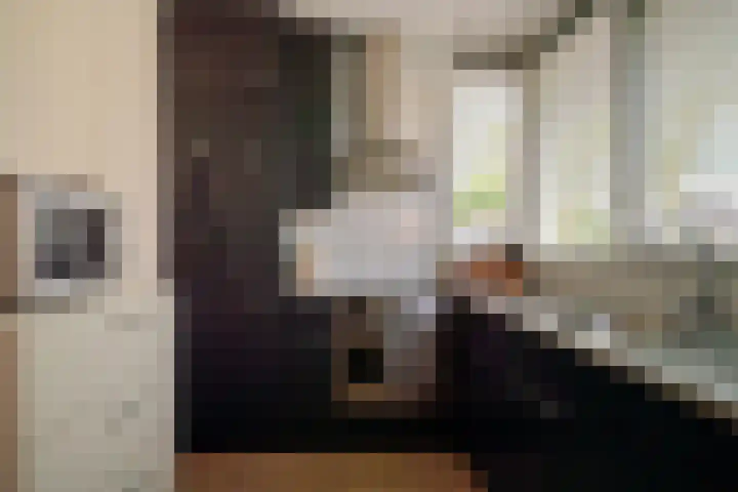 Erdwal 15 Tolkamer thumbnail 9