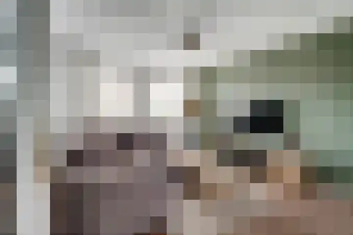 Erdwal 16 Tolkamer thumbnail 13