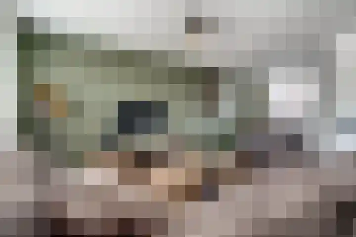 Erdwal 16 Tolkamer thumbnail 14