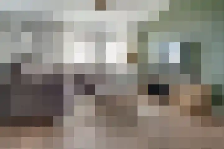 Erdwal 16 Tolkamer thumbnail 15
