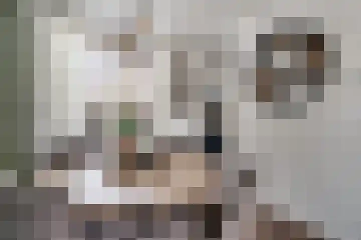 Erdwal 16 Tolkamer thumbnail 16
