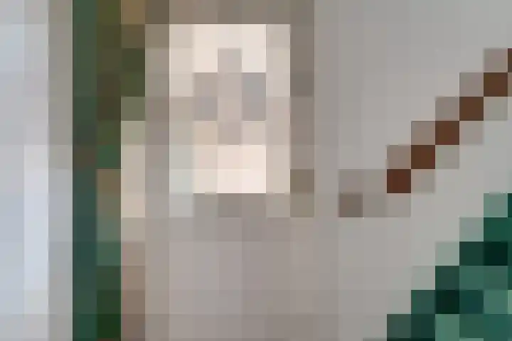 Erdwal 16 Tolkamer thumbnail 22