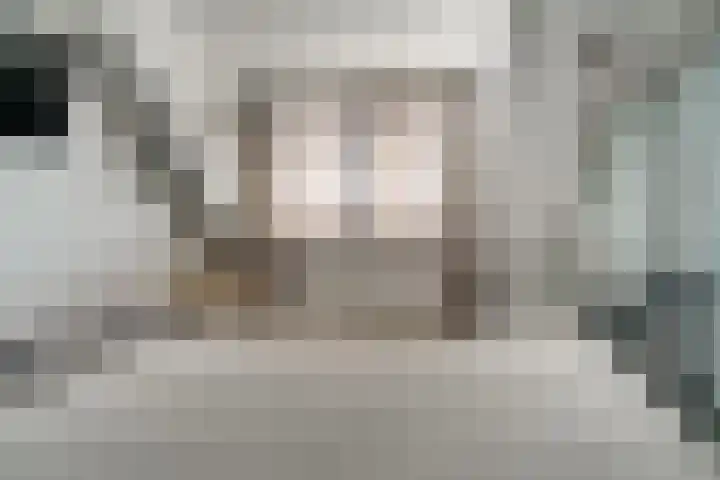 Erdwal 16 Tolkamer thumbnail 26