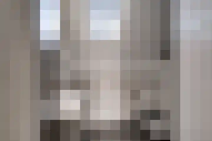 Erdwal 16 Tolkamer thumbnail 30