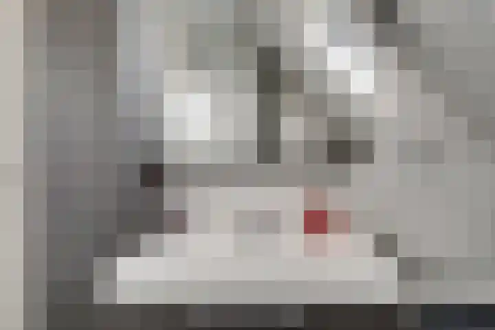 Erdwal 16 Tolkamer thumbnail 32