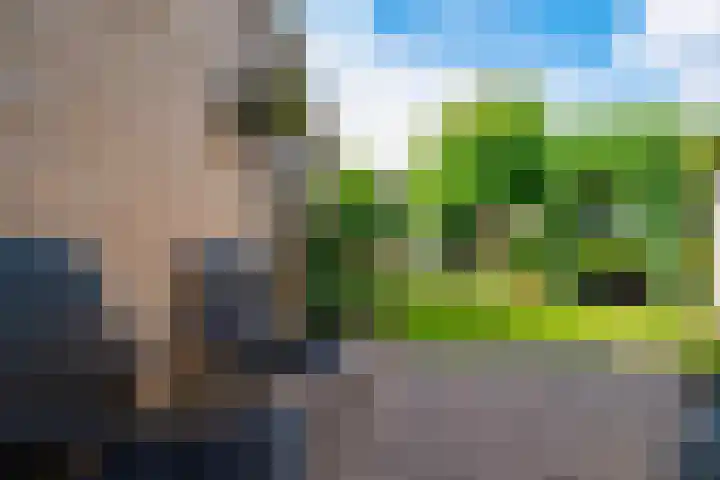 Erdwal 16 Tolkamer thumbnail 33
