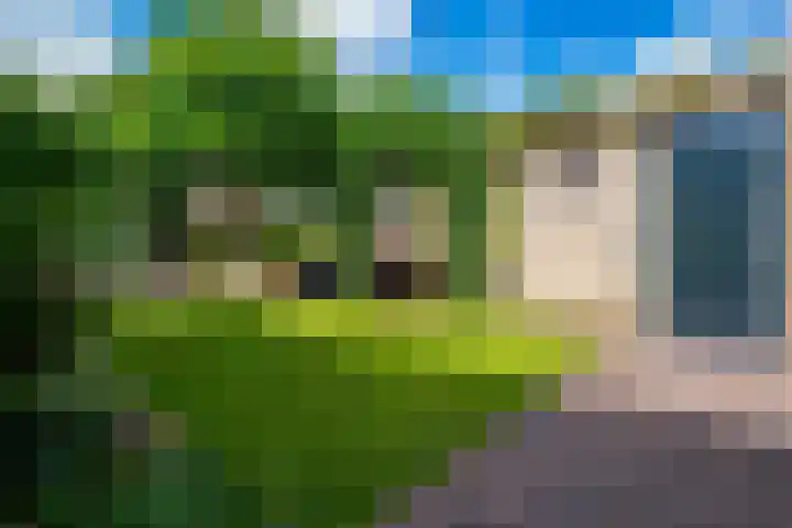 Erdwal 16 Tolkamer thumbnail 34