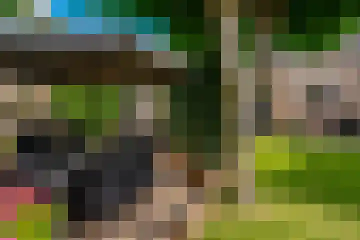 Erdwal 16 Tolkamer thumbnail 35