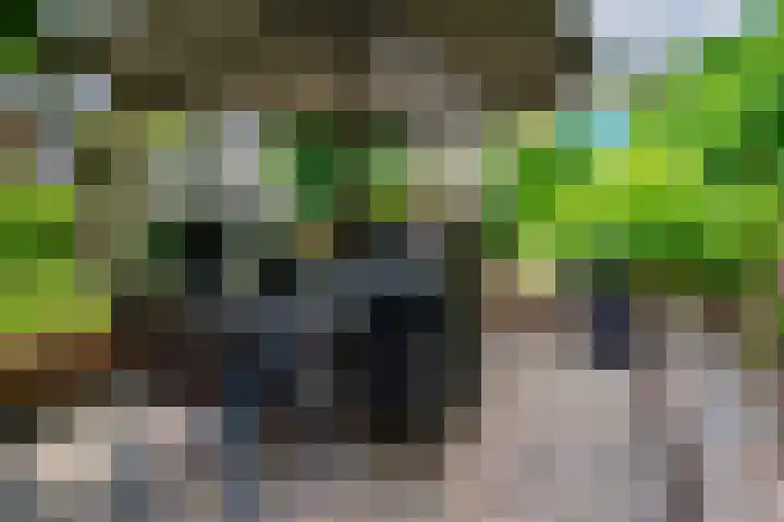 Erdwal 16 Tolkamer thumbnail 36