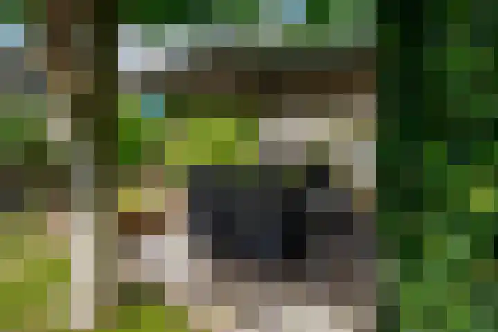 Erdwal 16 Tolkamer thumbnail 38