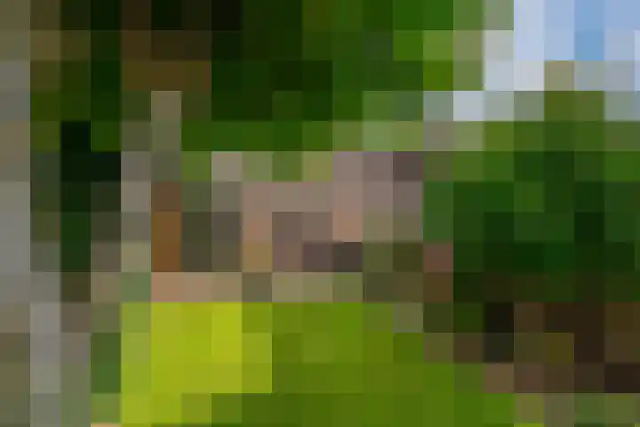 Erdwal 16 Tolkamer thumbnail 39
