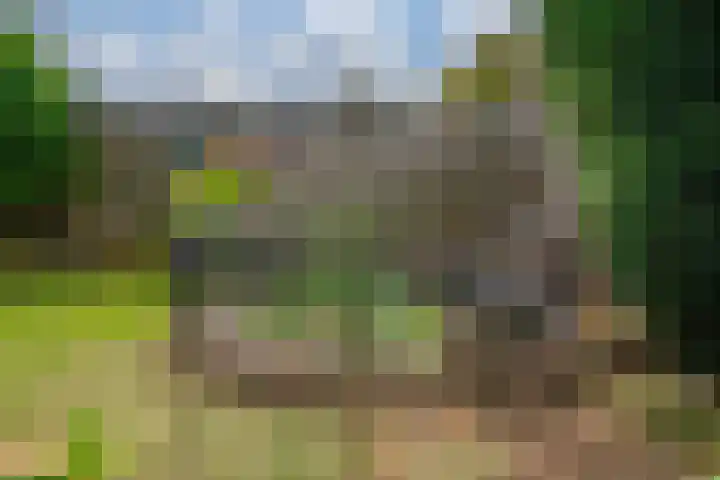 Erdwal 16 Tolkamer thumbnail 40