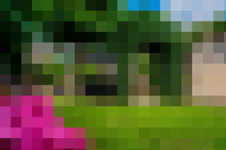 Erdwal 16 Tolkamer thumbnail 41