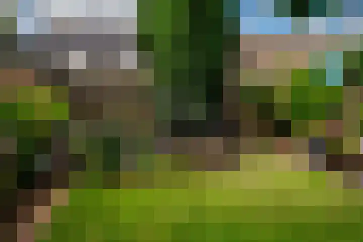 Erdwal 16 Tolkamer thumbnail 42