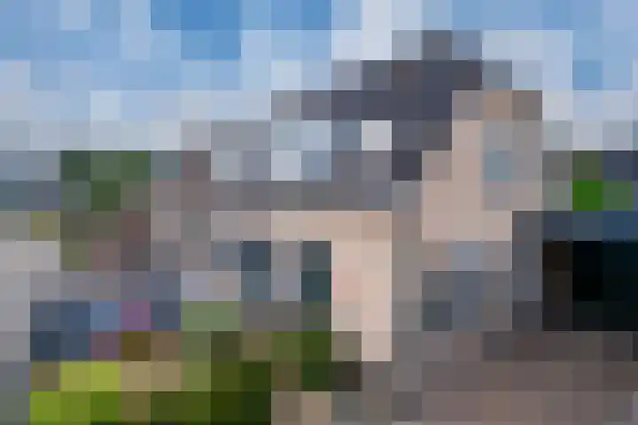 Erdwal 16 Tolkamer thumbnail 55