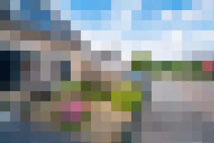 Erdwal 16 Tolkamer thumbnail 6