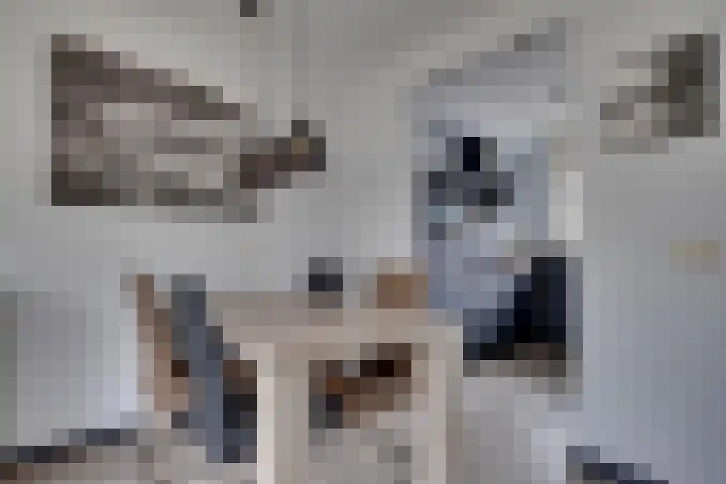 Erdwal 60 Tolkamer thumbnail 11