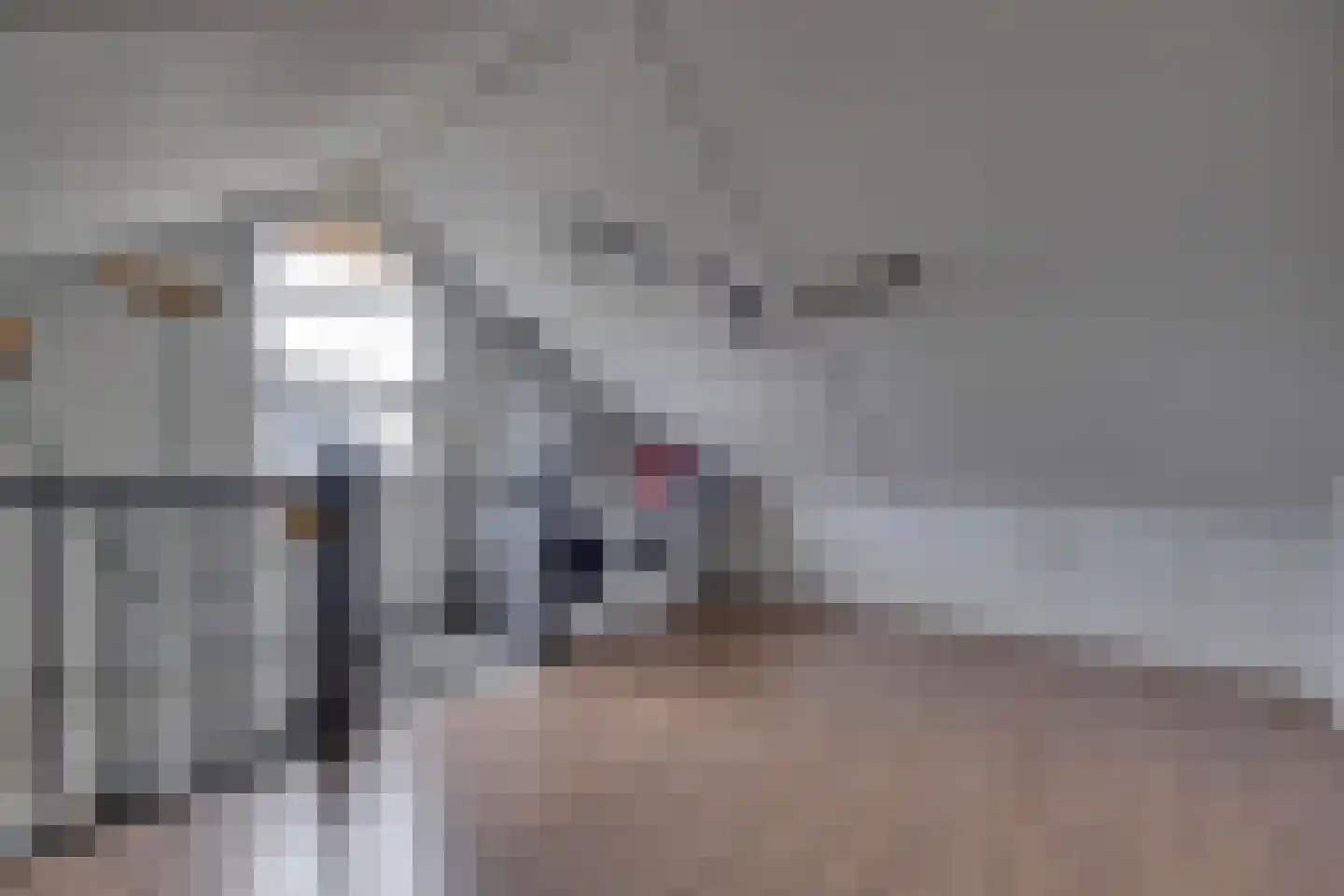 Erdwal 60 Tolkamer thumbnail 20