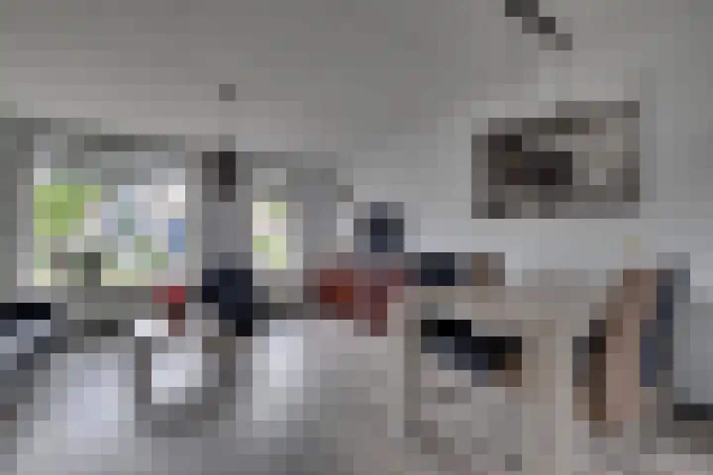 Erdwal 60 Tolkamer thumbnail 8