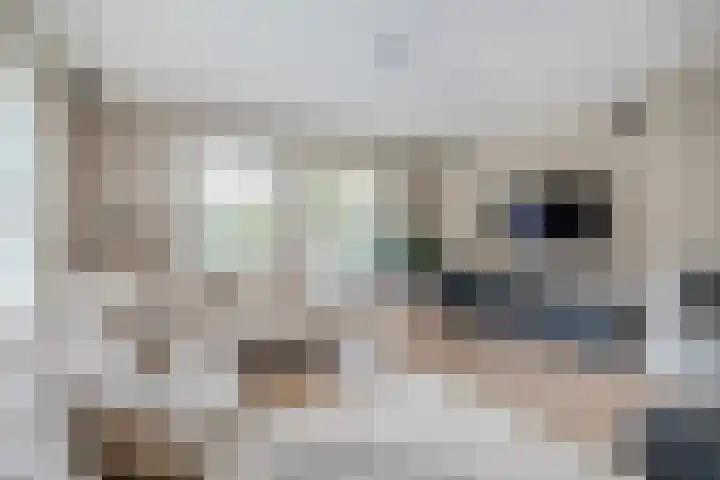 Erebor 7 Geldrop thumbnail 11