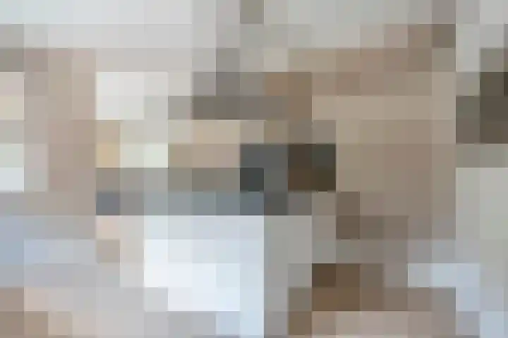 Erebor 7 Geldrop thumbnail 18