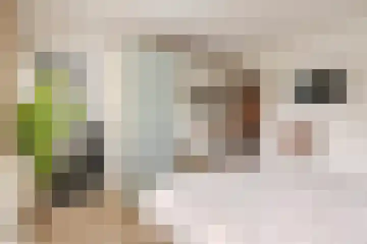 Erebor 7 Geldrop thumbnail 25