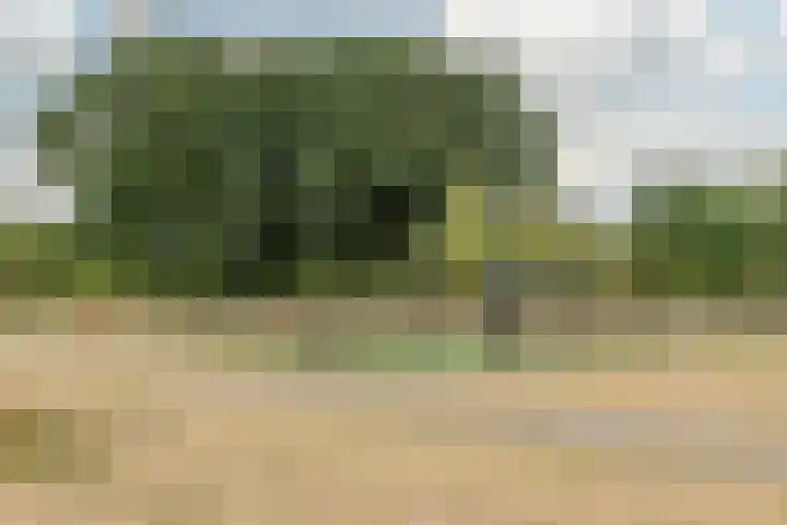 Erebor 7 Geldrop thumbnail 42