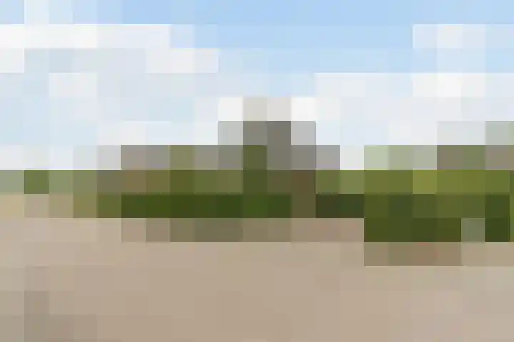 Erebor 7 Geldrop thumbnail 5